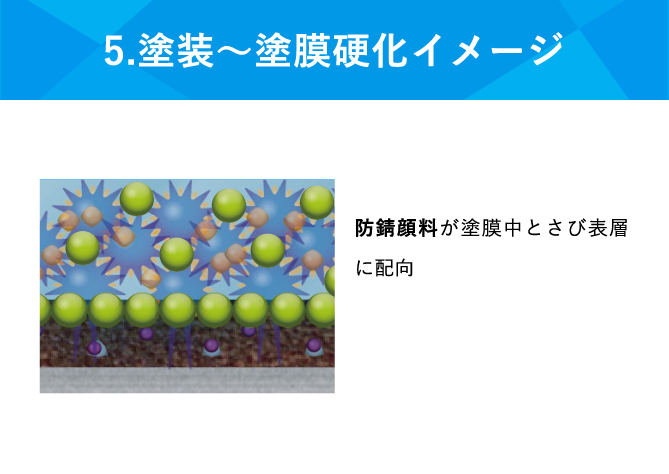 5.塗装〜塗膜硬化イメージ