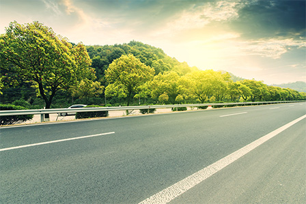 Sustainable actions on a road to a greener planet
